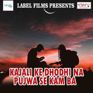 Dengarkan Dulhaniya Tik Tok Wali lagu dari Randhir Singh dengan lirik