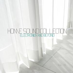 Various Artists的專輯Home Sound Collection: Electronica & Beyond, Vol. 15 (Explicit)