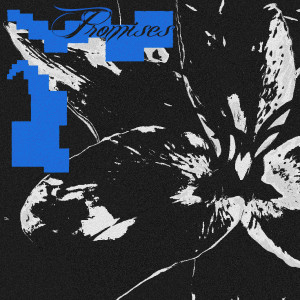Album Promises from limedisx.