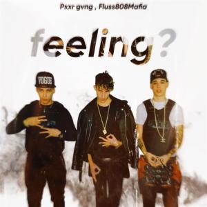 收聽fluss808mafia的Feeling (feat. pxxr gvng) (Explicit)歌詞歌曲