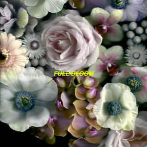 อัลบัม Full Bloom ศิลปิน Alpines