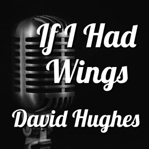 Album If I Had Wings David Hughes from David Hughes