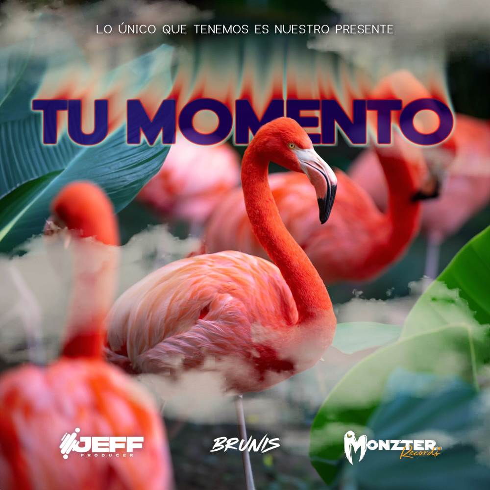 TÚ MOMENTO