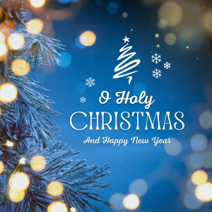 Listen to Jingle Rock song with lyrics from Tomme Lee
