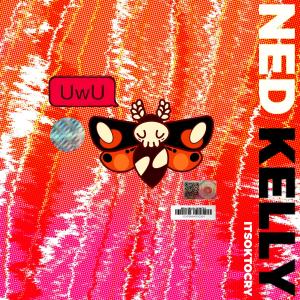 ดาวน์โหลดและฟังเพลง Uwu (feat. ITSOKTOCRY) (Explicit) พร้อมเนื้อเพลงจาก Ned Kelly
