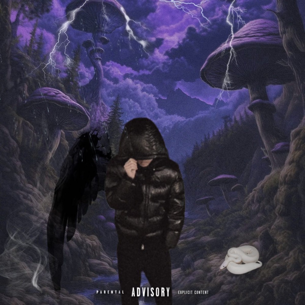 Flex (Explicit)