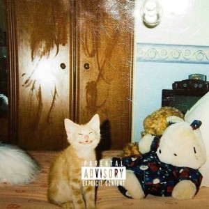 Album fünfzehn from 