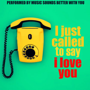 Music Sounds Better With You的專輯I Just Called to Say I Love You