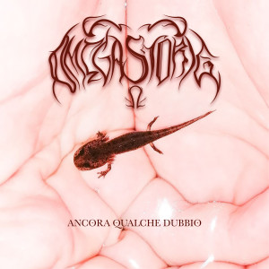 Dengarkan Ancora qualche dubbio lagu dari Davide Lanieri dengan lirik