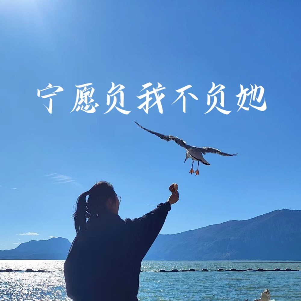 宁愿负我不负她 (伴奏)