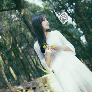 收聽四季音色的吹夢 (其他)歌詞歌曲