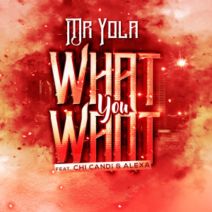 Mr Yola的專輯What You Want 