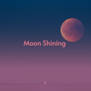 Album Moon Shining oleh Various