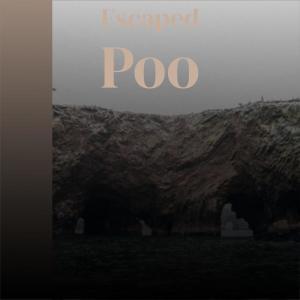 Listen to Escaped Poo song with lyrics from Etun