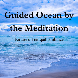 Splendor of Meditation for Smoking Cessation的專輯Guided Ocean by the Meditation: Nature's Tranquil Embrace