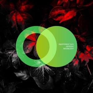 Listen to Moonlight song with lyrics from Indifferent Guy