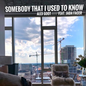 Alex Goot的專輯Somebody That I Used To Know
