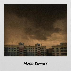 Various Artists的專輯Muted Tempest