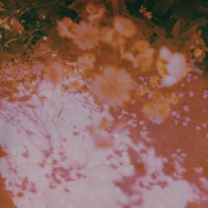 收聽Lexander的Nosebleeds歌詞歌曲