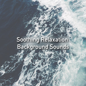 Dengarkan Study & Focus Help lagu dari Ocean Sounds dengan lirik