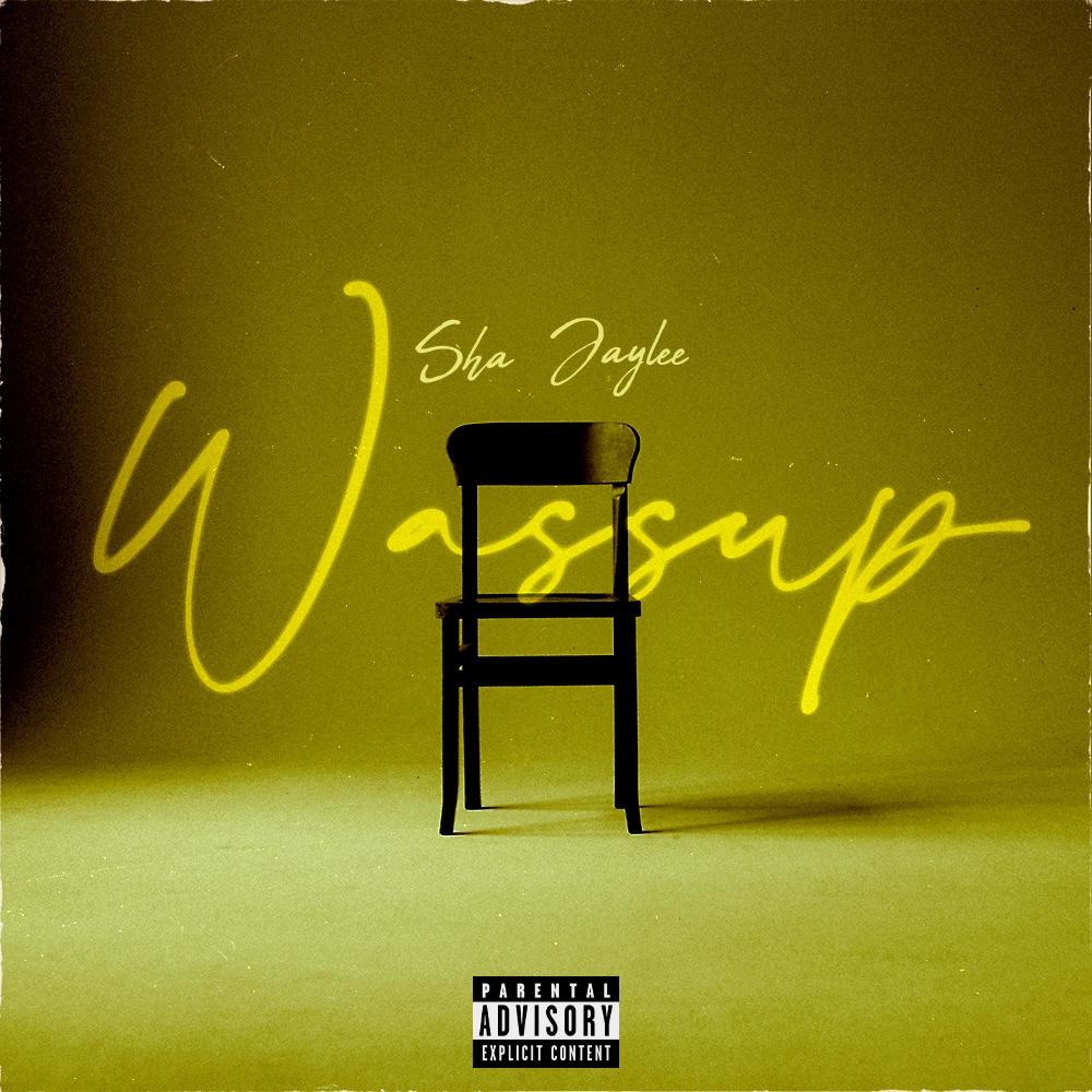 Wassup (feat. Jaylee) (Explicit)