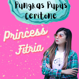 Listen to Pungkas Pupus Ceritone song with lyrics from Princess Fitria