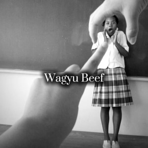 Listen to Wagyu Beef song with lyrics from Tomiko Wasabi