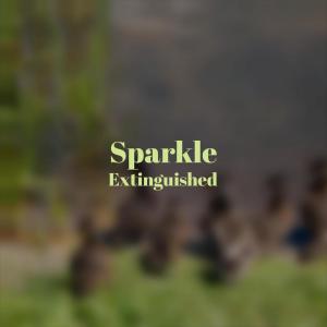 Album Sparkle Extinguished from 