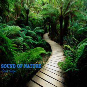 ดาวน์โหลดและฟังเพลง Sound Of Nature พร้อมเนื้อเพลงจาก Tovia Singer