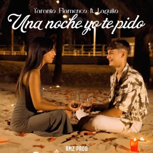 Taranto Flamenco的專輯Una Noche Yo Te Pido
