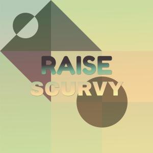 Various的专辑Raise Scurvy