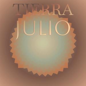 Album Tierra Julio from Various