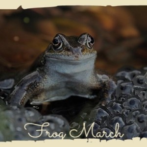 Album Frog March from Various