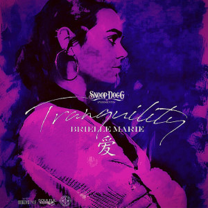ดาวน์โหลดและฟังเพลง Tranquility (Explicit) พร้อมเนื้อเพลงจาก Brielle Marie