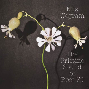 Nils Wogram的專輯The Pristine Sound of Root 70