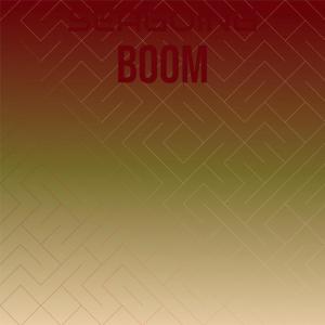 Album Seagoing Boom from Various