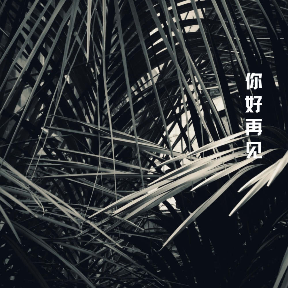 你好再见