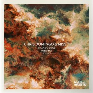 Dengarkan lagu Broke Genius (Wellsince Dub Mix) nyanyian Chris Domingo dengan lirik