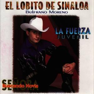 收聽El Lobito de Sinaloa的Senora歌詞歌曲