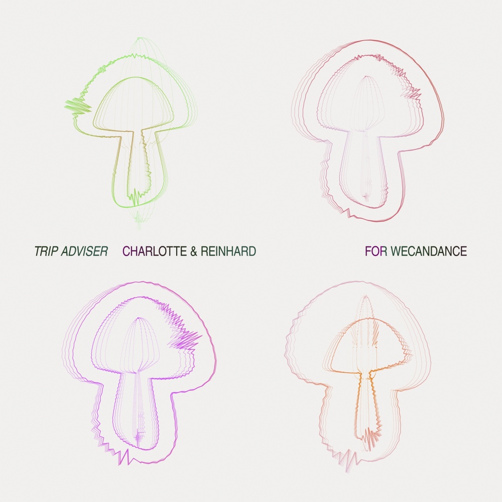 Trip Adviser (Continuous Mix)
