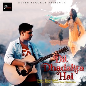 收听Pranav Singhal的Dil Dhadakta Hai歌词歌曲
