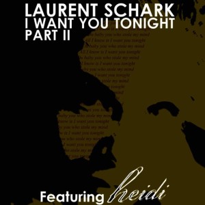 ดาวน์โหลดและฟังเพลง I Want You Tonight feat. Heidi(Julian White Remix) พร้อมเนื้อเพลงจาก Laurent Schark