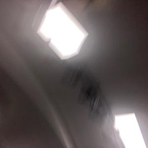 Dengarkan LOUD (Explicit) lagu dari Quinn Leroy dengan lirik