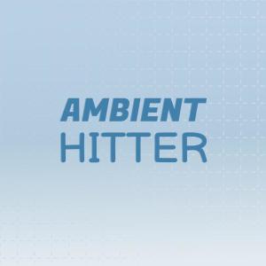 Album Ambient Hitter from Various