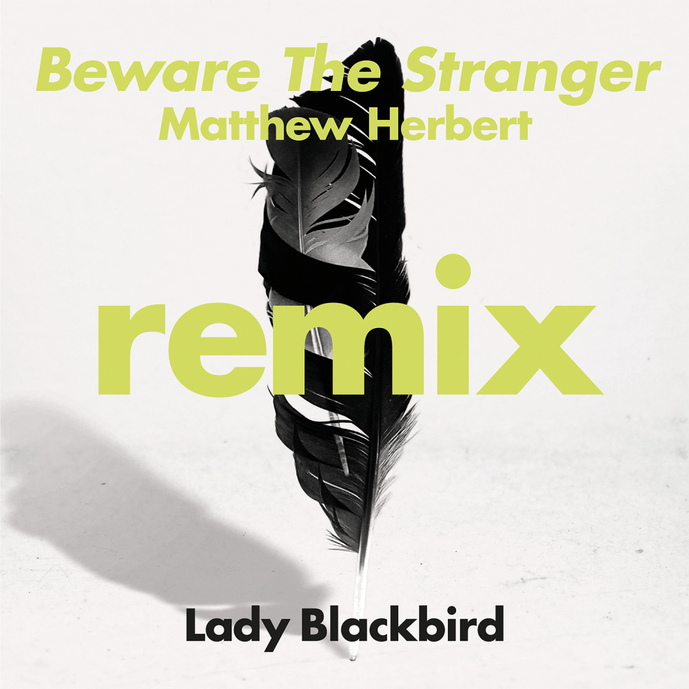 Beware The Stranger (Matthew Herbert's Wanted Instrumental)