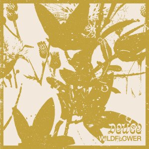 Album Wildflower from Deuce