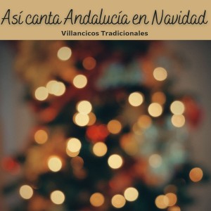 ดาวน์โหลดและฟังเพลง La Visitación a Santa Isabel พร้อมเนื้อเพลงจาก Coro de Villancicos de Caja San Fernando