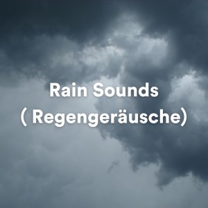 อัลบัม Rain sounds (Regengeräusche) ศิลปิน Stadtregengeräusche