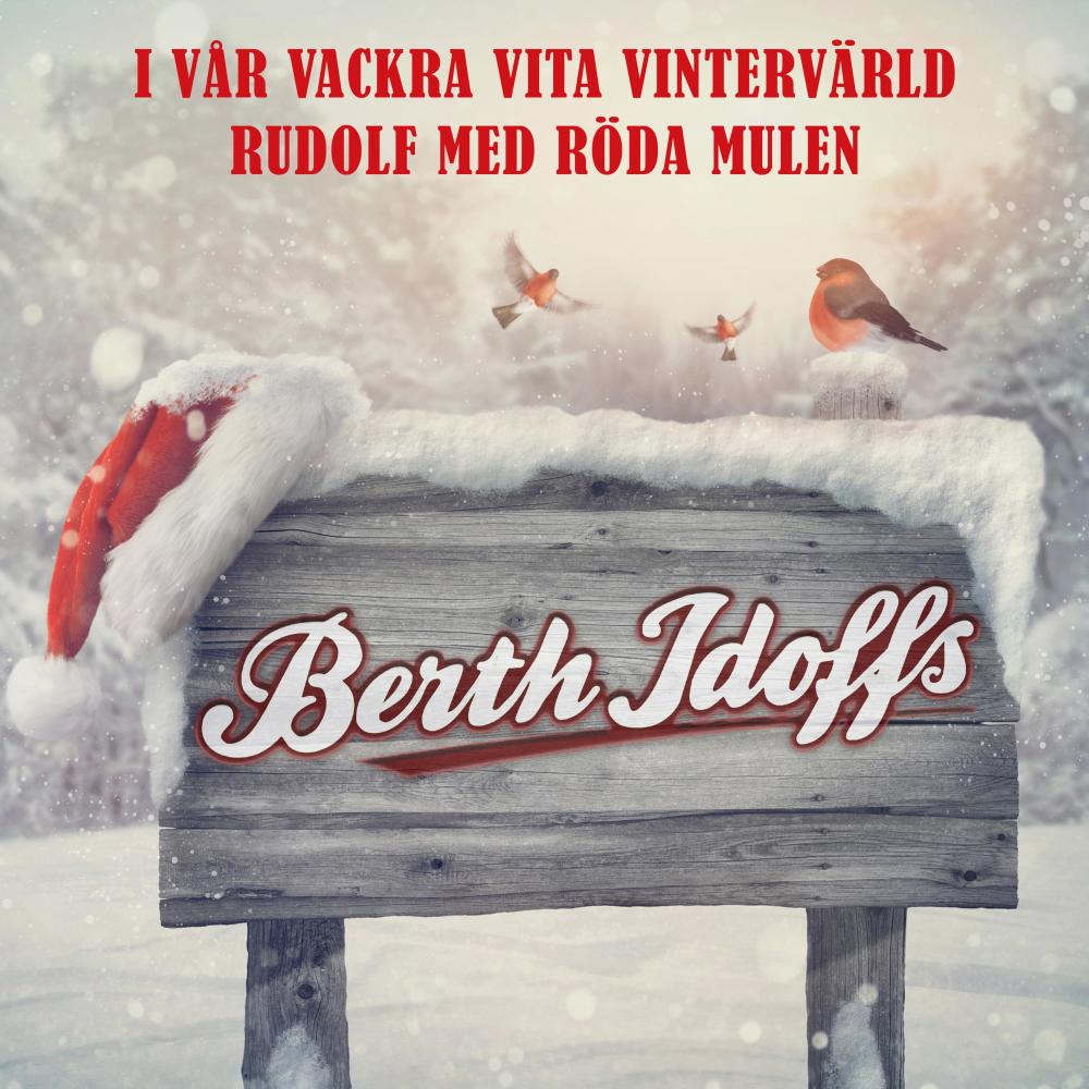 I vår vackra vita vintervärld