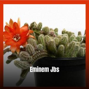 Various的专辑Eminem Jbs